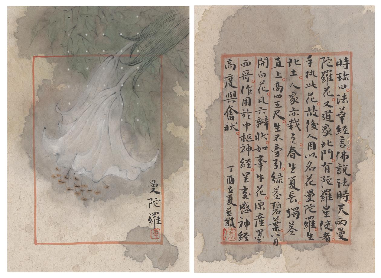 《云中君》之 曼陀罗.jpg