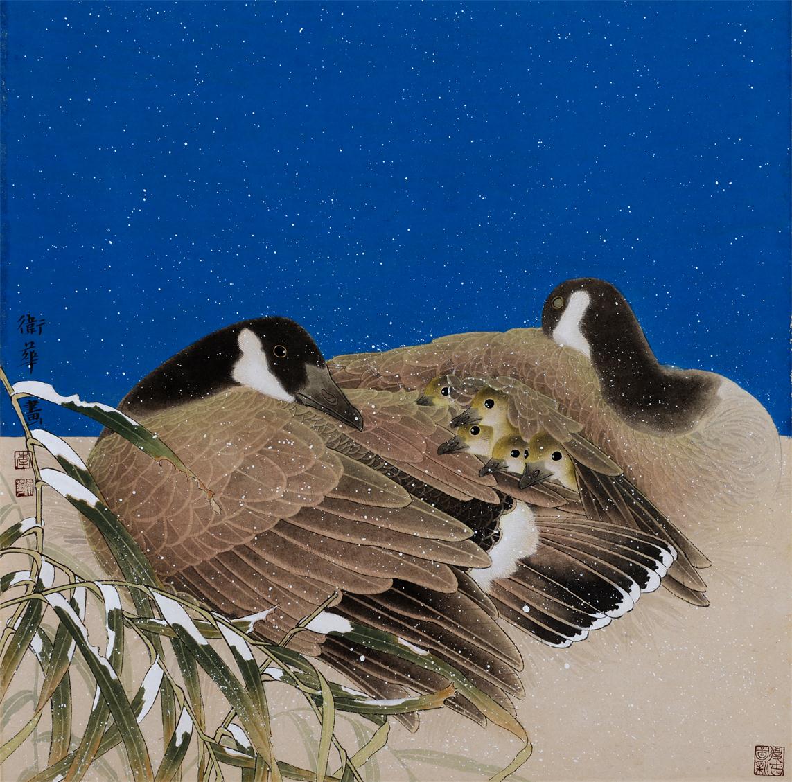 子母寒禽图二65cm×65.cm.JPG