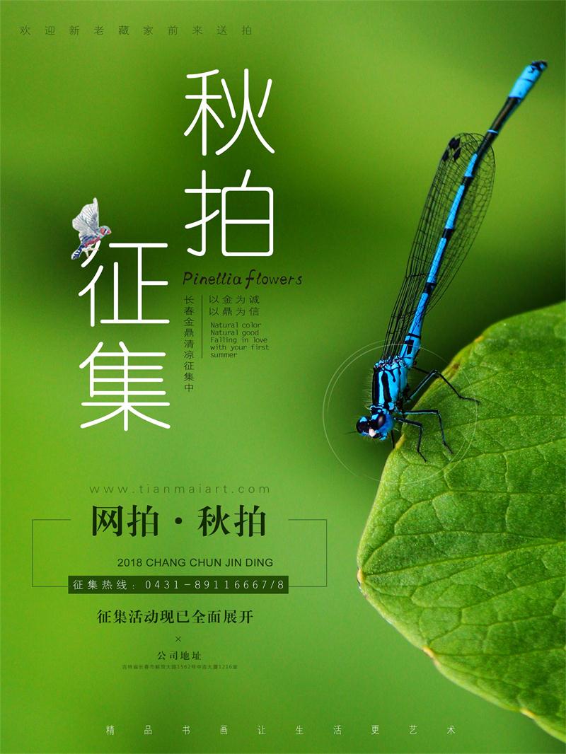 你好盛夏 - 副本.jpg